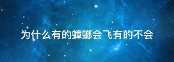 为什么有些蟑螂会飞,为什么有些蟑螂会飞 蟑螂会飞的原因图4