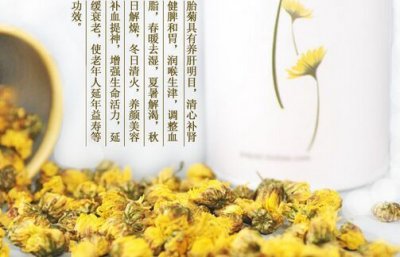 ​喝菊花茶有什么好处，喝菊花茶有什么好处呢？