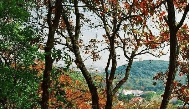 上海有山吗(上海爬山去哪个山比较好)