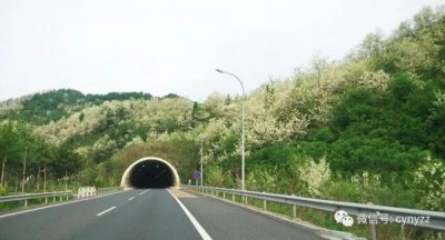 ​槐花原浆酒多少钱(槐花原浆酒52度价格)