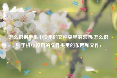 ​怎么识别手机中没用的文件夹里的东西(怎么识别手机中没用的文件夹里的东西和文