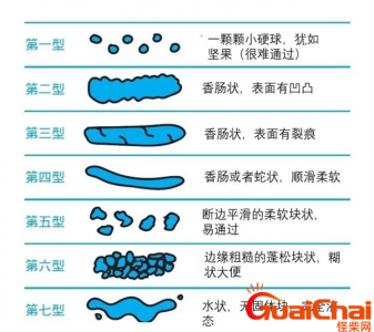 ​便便能吃吗？便便是怎么形成的？