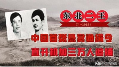 ​东北“二王”案件回顾：为什么案发后七个月才最终被击毙？