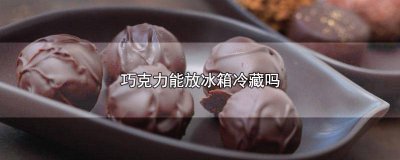 ​巧克力能放冰箱里冷藏吗 巧克力可以放冰箱吗放冰箱冷藏吗