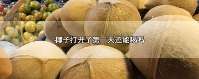 ​椰子打开放了一夜还能喝吗 椰子当天没喝完第二天还能喝吗