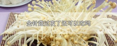 ​过夜的金针菇可以吃吗? 金针菇过夜能吃吗?