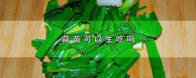 ​蒜苗能生吃么 生蒜苗可以生吃吗