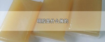 ​食品添加剂明胶是什么做的 药的明胶是什么做的