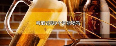 ​啤酒过期三个月还可以喝吗 啤酒还有3个月过期能喝吗