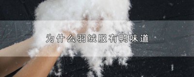 ​羽绒服有鸭毛的味道 羽绒服有股鸭子味是不是质量不好