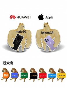 ​华为mate10pro和iphone6splus mate10pro和苹果6sp哪个好