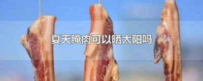 ​夏天做腌肉可以用太阳晒吗为什么 夏天做腌肉可以用太阳晒吗多久