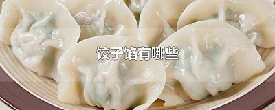 ​小孩吃哪种饺子馅最好最好 儿童吃什么馅的饺子比较好