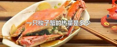 ​梭子蟹是高热量食物吗 梭子蟹和大闸蟹哪个热量高