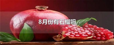 ​8月份有石榴吗为什么不能吃 8月份有石榴吗为什么不开花