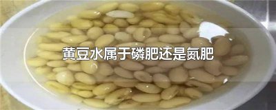 ​黄豆水属于什么肥料 黄豆是氮肥还是钾肥