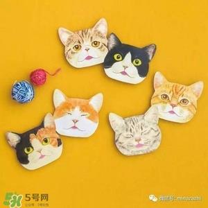 felissimo猫爪化妆棉多少钱？felissimo猫爪化妆棉哪里买？