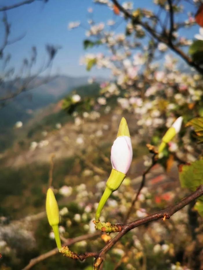 厦门音乐广播| 我爱古诗词——《清明日园林寄友人》