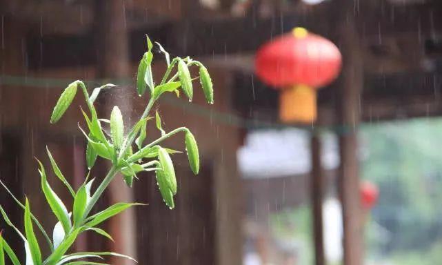 一帘幽瀑，溪涧叮咚，绵阳北川小寨子沟游记