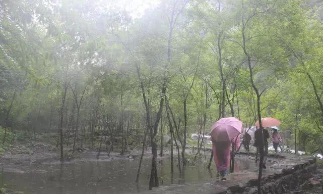 一帘幽瀑，溪涧叮咚，绵阳北川小寨子沟游记