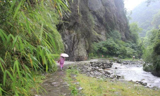 一帘幽瀑，溪涧叮咚，绵阳北川小寨子沟游记