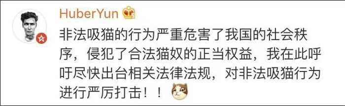 网友曝光地下吸猫场所，幕后产业链污秽不堪令人震惊！