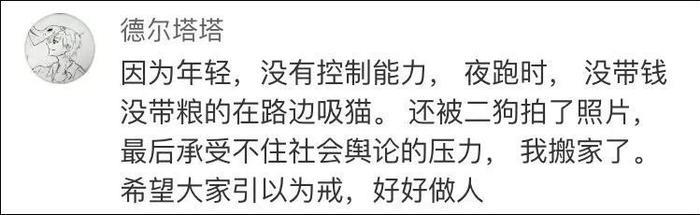 网友曝光地下吸猫场所，幕后产业链污秽不堪令人震惊！