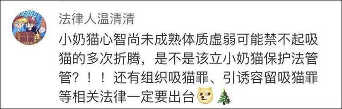 网友曝光地下吸猫场所，幕后产业链污秽不堪令人震惊！