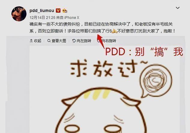 PDD起诉熊猫直播再起波澜：事发后公开亮相求“别搞”！