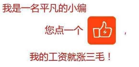 9岁网红炫富身家上亿，自称搬砖起家，网友评论暴露整体价值观！