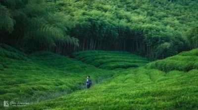 ​川藏路线自驾游路线图，自驾游川藏线途经