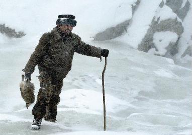 生活在海拔3000米的雪线以上的鸡——天山雪鸡