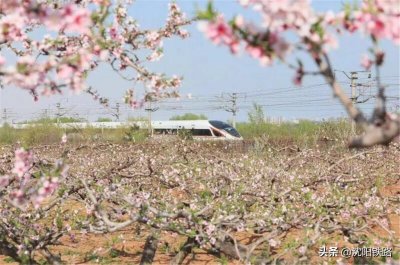 ​重磅！沈阳铁路最全“复兴号”动车组列车时刻表来啦！