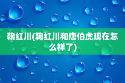 ​鞠红川(鞠红川和唐伯虎现在怎么样了)