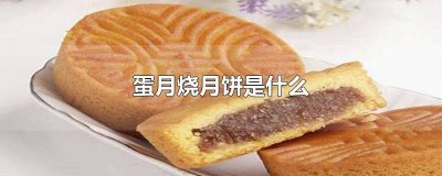 ​蛋月烧月饼的卖点和口感 蛋月烧月饼是哪里能买到