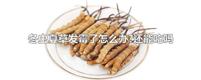 ​冬虫夏草发霉了怎么办?还能吃吗 冬虫夏草发霉了怎么办?还能吃吗有毒吗