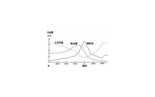  老婆瞒着我报了1万多的健身私教，我该怎么办